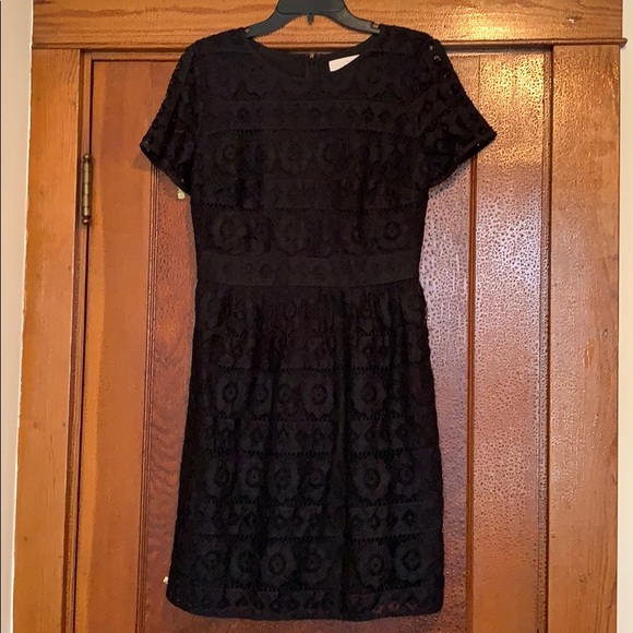 Loft Lace Dress - Picture 3 of 6